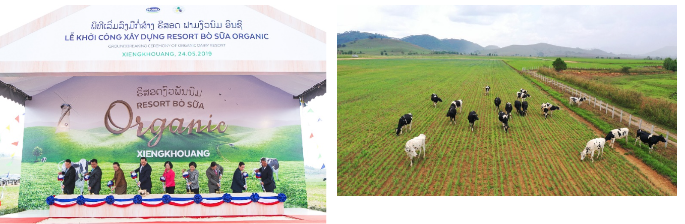 Vinamilk[-]lần[-]thứ[-]8[-]liên[-]tiếp[-]được[-]vinh[-]danh[-]trong[-]Top[-]“50[-]công[-]ty[-]niêm[-]yết[-]tốt[-]nhất”[-]do[-]Tạp[-]chí[-]Forbes[-]Việt[-]Nam[-]bình[-]chọn